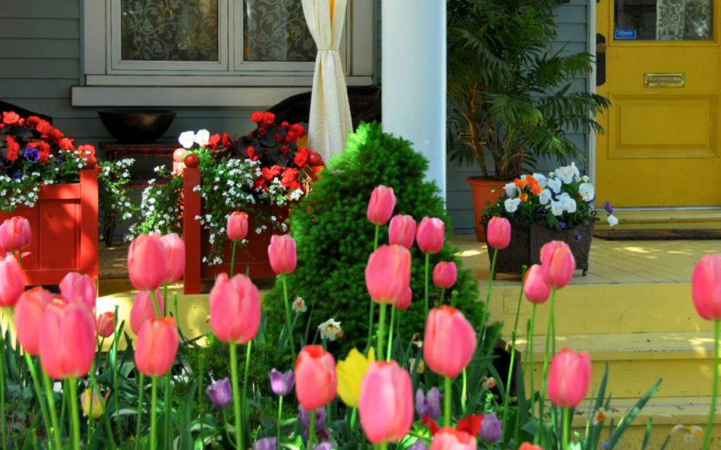spring yard pest control Raleigh NC
