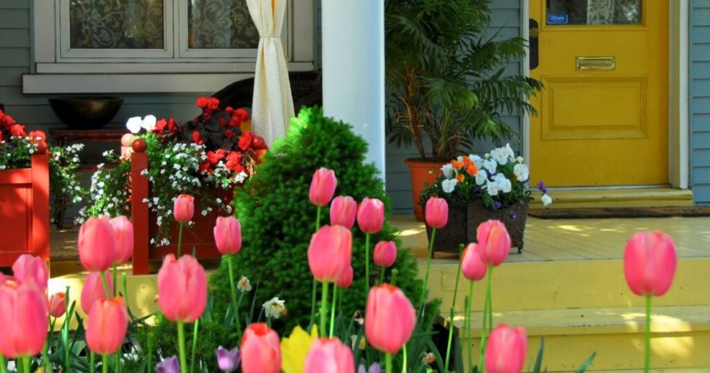 spring yard pest control Raleigh NC