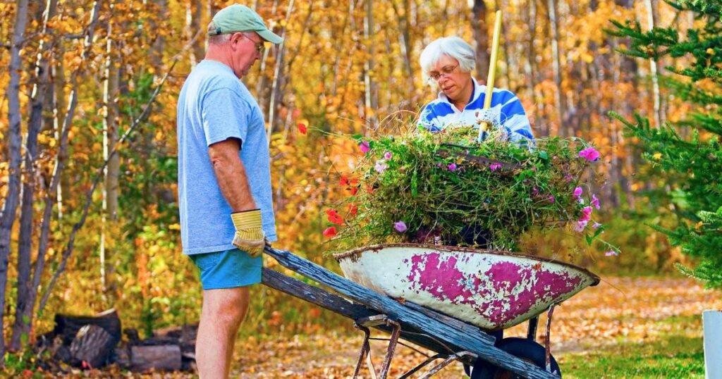 couple doing yard work together in the fall - landscaping can attract pests in Raleigh, NC