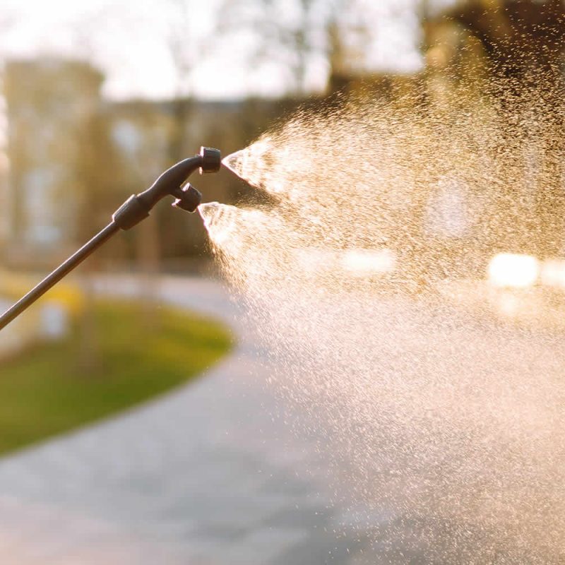 quarterly-pest-service-nc